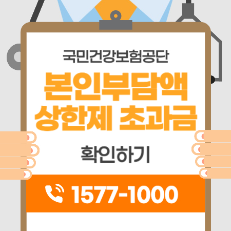 본인부담상한액 초과금