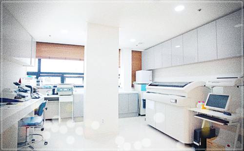 서울메디투어 건강검진 비용