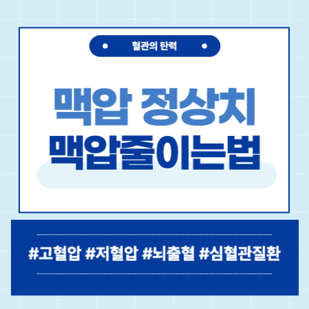 맥압 정상치 맥압줄이는법
