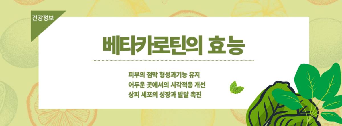 베타카로틴 효능