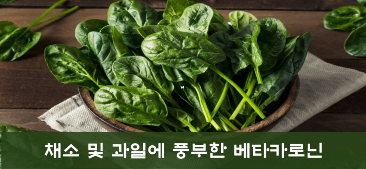 베타카로틴