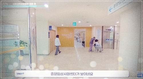 서울대병원 건강검진 비용