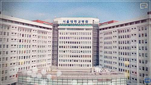 서울대병원