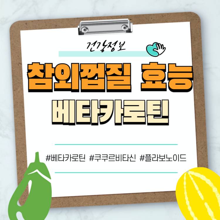참외껍질 베타카로틴 효능