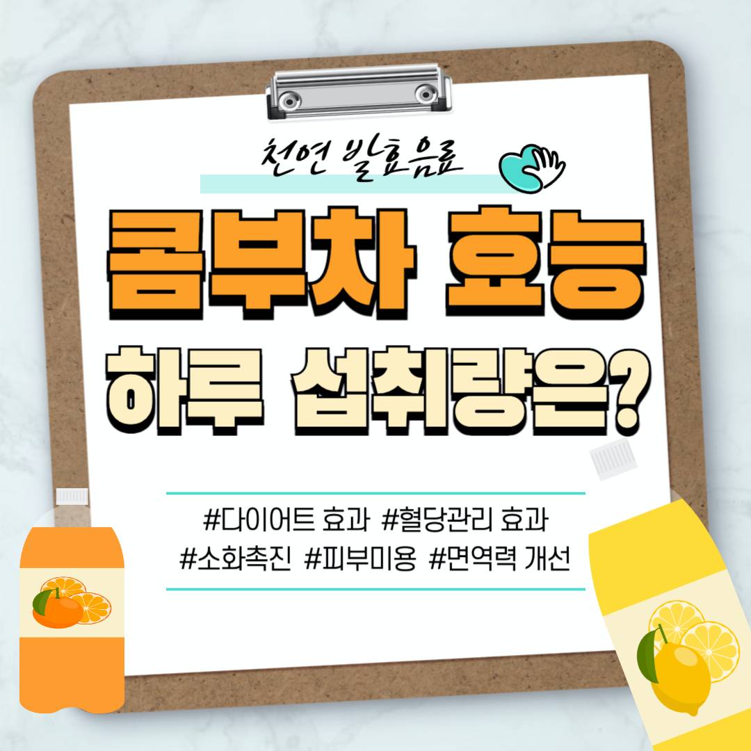 콤부차 효능