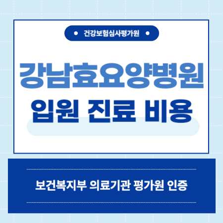 강남효요양병원 입원 진료 비용
