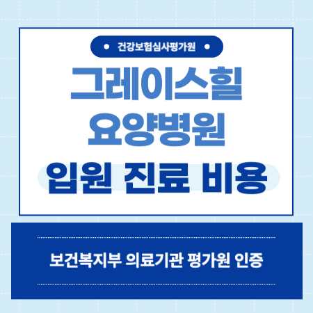 그레이스힐 요양병 입원 비용