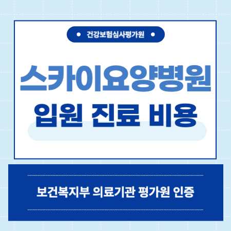 도봉구 스카이 요양병원 입원 비용