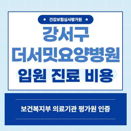 서울 강서구 더서밋요양병원 입원 비용