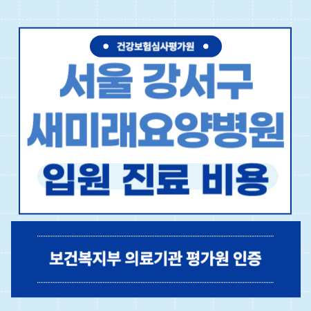 서울 강서구 새미래요양병원 입원 비용