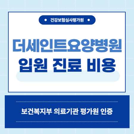 서울 구로구 더세인트요양병원 입원 비용