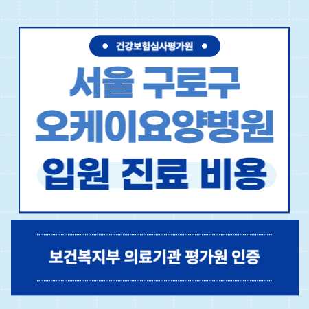 서울 구로구 오케이요양병원 입원 비용