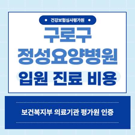 서울 구로구 정성요양병원 입원 비용