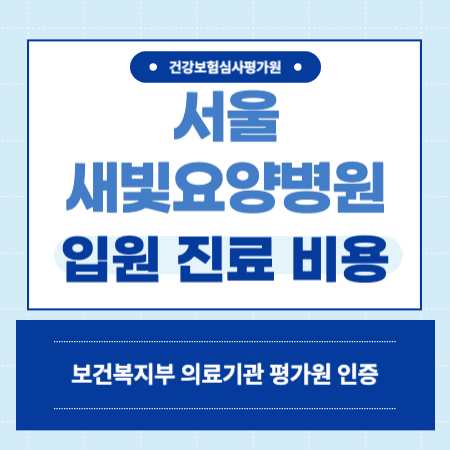 서울 새빛요양병원 예약 전화번호