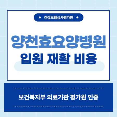 서울 양천효요양병원 입원 비용