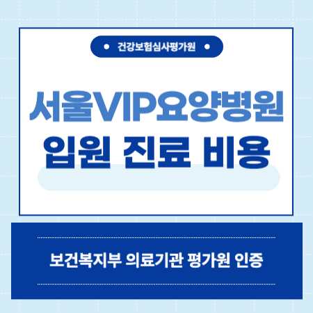 서울vip요양병원 입원 비용