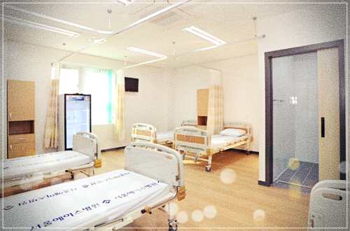 서울에이스요양병원 입원 비용