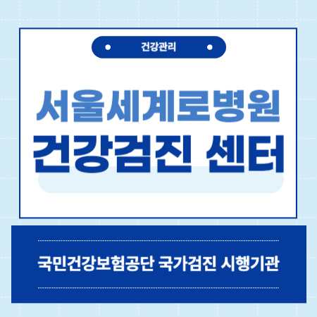 송파구 서울세계로병원 건강검진 센터 비용