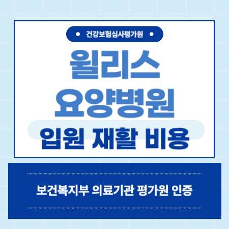 부산 남구 대연동 윌리스요양병원 예약