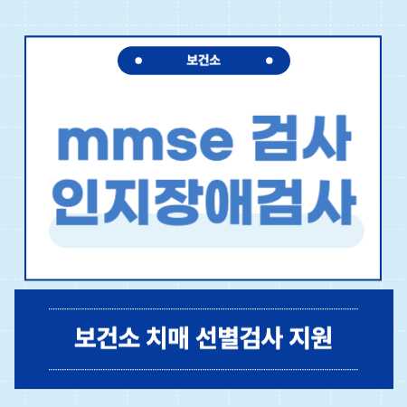 mmse검사 점수