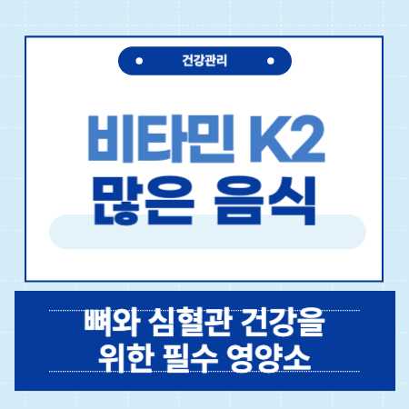 비타민 k2 많은 음식
