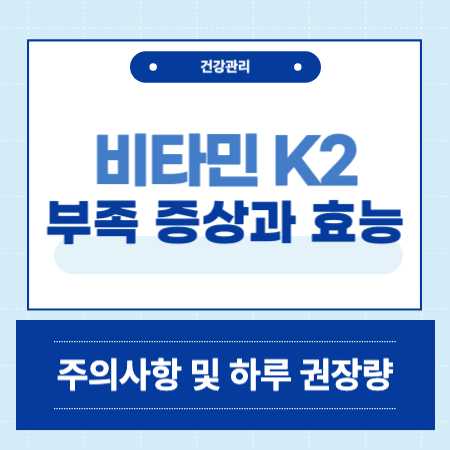 비타민 k2 효능 하루 권장량