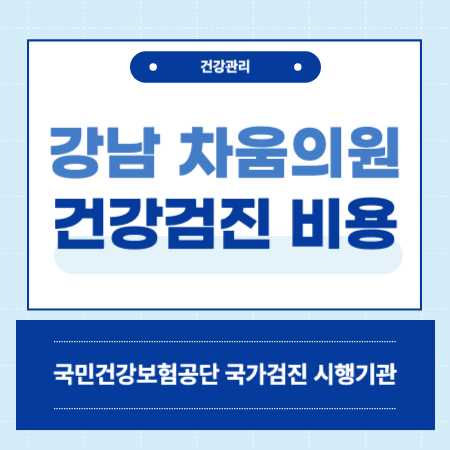 서울 강남구 청담동 차움건진의원 센터 비용