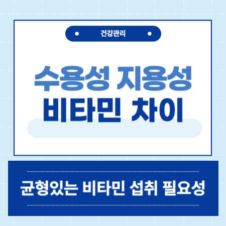 수용성 지용성 비타민 차이