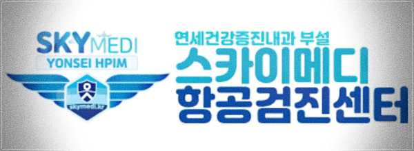 스카이메디 항공신체검사