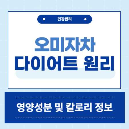오미자차 다이어트