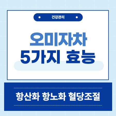 오미자차 효능