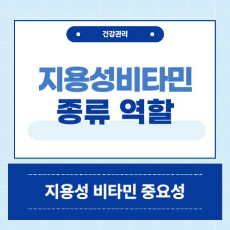 지용성 비타민