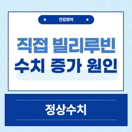직접 빌리루빈 수치