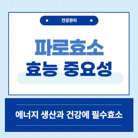 파로효소
