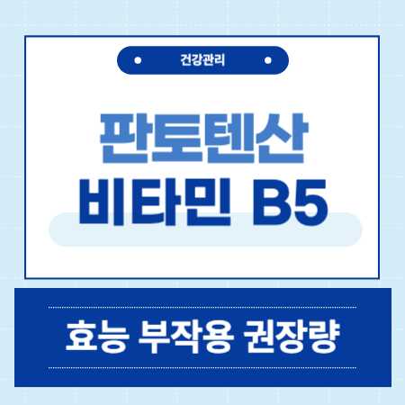 판토텐산 효능 부작용 하루 권장량