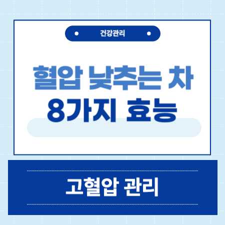 혈압 낮추는 차