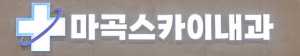 마곡스카이내과