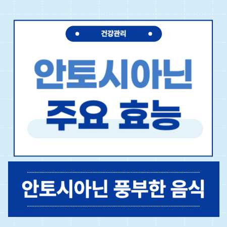 안토시아닌 효능 음식