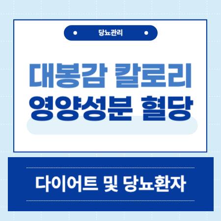 대봉감 칼로리 영양성분