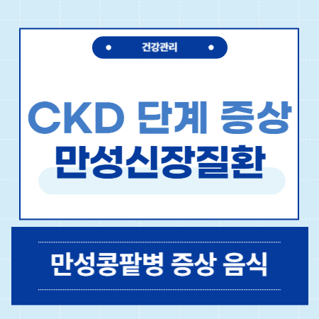 만성콩팥병 CKD 단계 증상 권장 음식