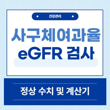 신 사구체여과율 eGFR 검사 정상 수치