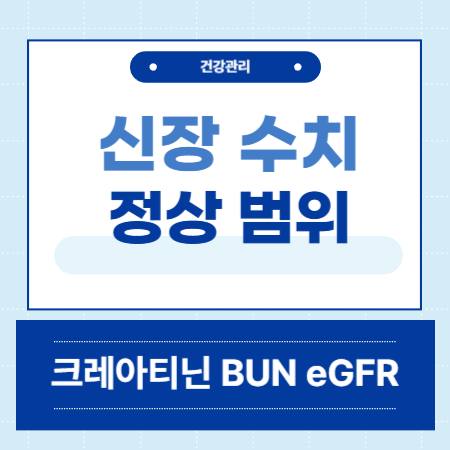 신장 수치 정상 범위