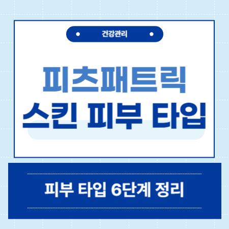 피츠패트릭 스킨 타입