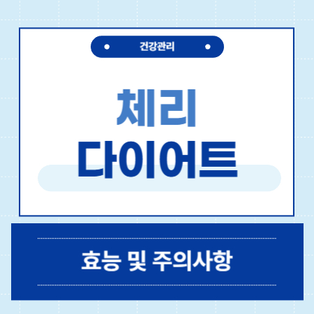 체리 다이어트
